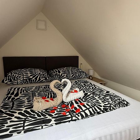 Apartmán v blízkosti centra Brna Brno Esterno foto