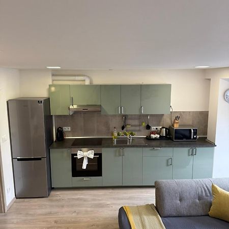 Apartmán v blízkosti centra Brna Brno Esterno foto