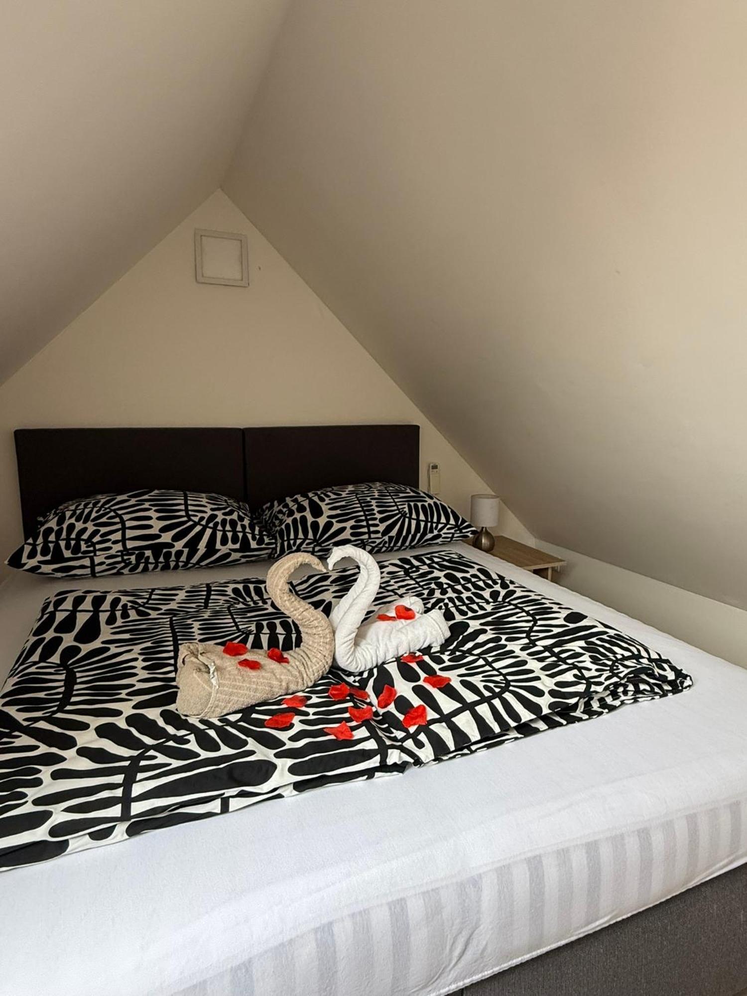 Apartmán v blízkosti centra Brna Brno Esterno foto